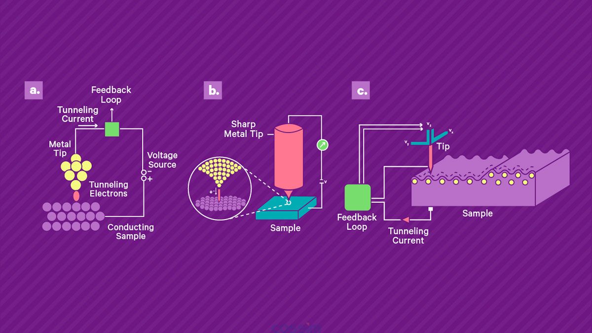 掃描隧道顯微鏡的工作原理。 a) 將鋒利的導(dǎo)電尖端靠近導(dǎo)電樣品表面并施加偏置電壓，從而產(chǎn)生穿過間隙的小隧道電流。 該電流由高增益放大器讀出。 b) 壓電掃描系統(tǒng)用于控制尖端與表面的分離并在表面上掃描尖端。 當(dāng)尖端保持在恒定高度時，電流幅度可用作尖端表面分離的直接測量，從而實(shí)現(xiàn)地形成像。 或者，可以使用反饋回路通過改變定位系統(tǒng)的控制電壓來保持恒定電流，該控制電壓被記錄下來并產(chǎn)生樣品上的形貌和電子密度的測量值。