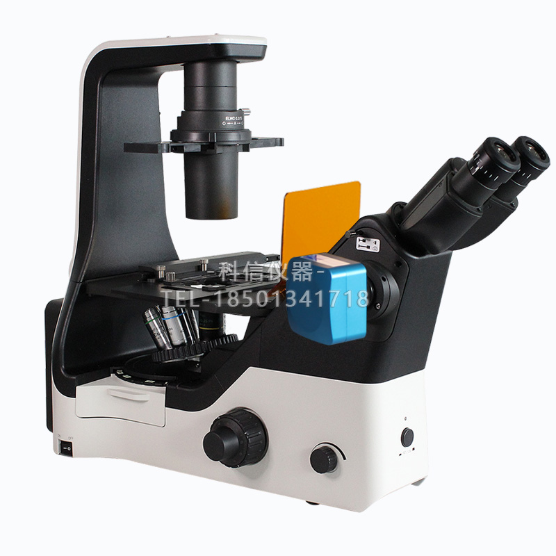 FRD-420科研級三目倒置熒光顯微鏡細胞觀察