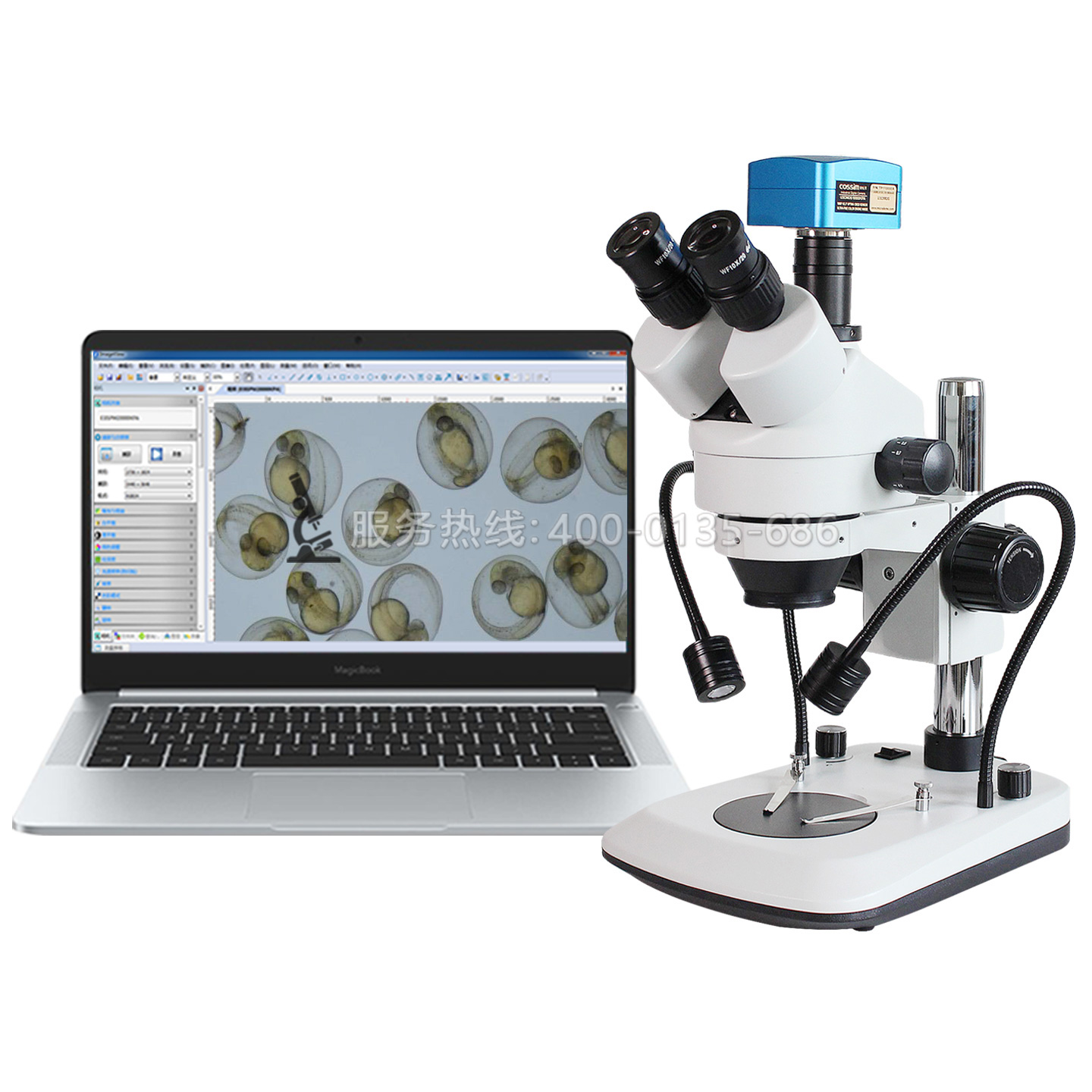 SRG-7045A三目雙側(cè)光源體視顯微鏡胚胎斑馬魚PCB板檢測