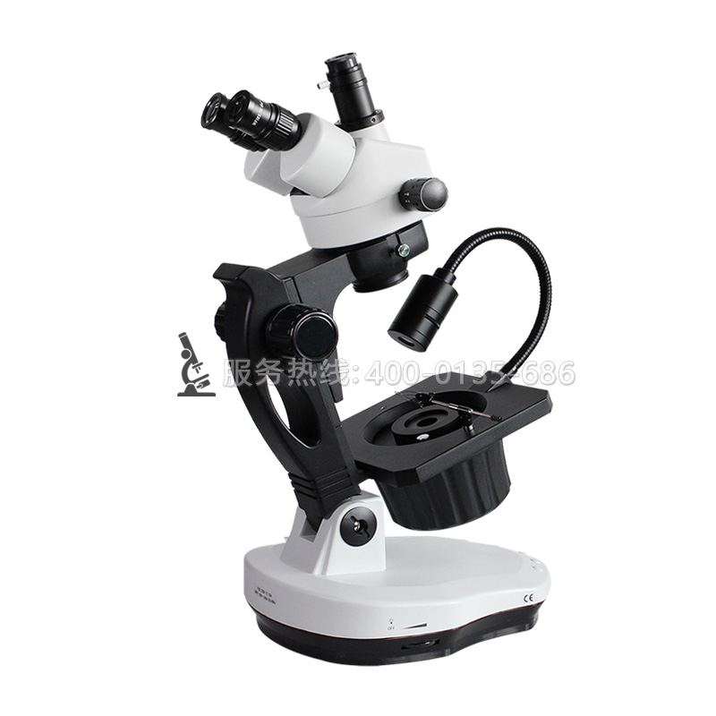 ZBX600L三目連續(xù)變倍寶石顯微鏡帶LED頂燈