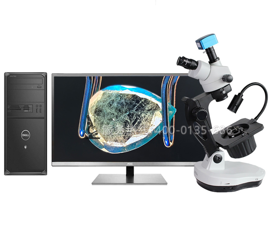 ZBX600L三目連續(xù)變倍寶石顯微鏡帶LED頂燈